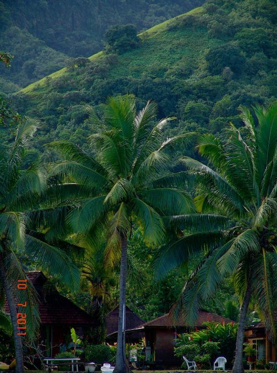 Tauhanihani Village Lodge La Vague Bleue Teahupoo Buitenkant foto
